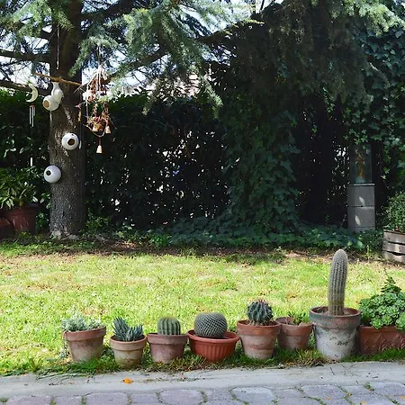 Il Nottetempo * Alba (Piedmont)