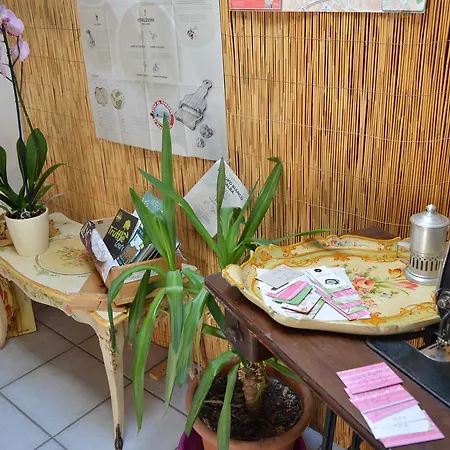 Apartament Il Nottetempo Alba (Piedmont)