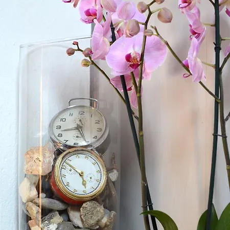 Il Nottetempo Alba (Piedmont)